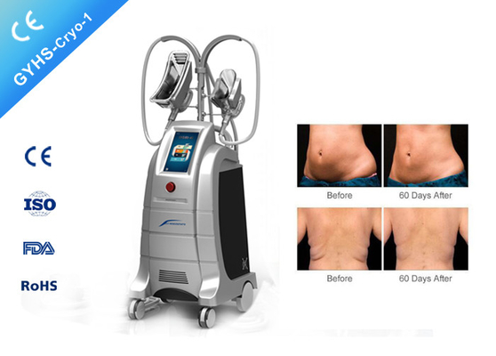 Cool Sculpting Cryolipolysis Body Slimming Machine For All Skin Color 90kg Net