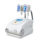 Portable Cryolipolysis Slimming Freezefats Machine 1500W For Body Treatment