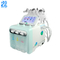 300W Skin Cleaning Machine 6/7 H2o2 In 1 Hydra Facial Black Head Removal