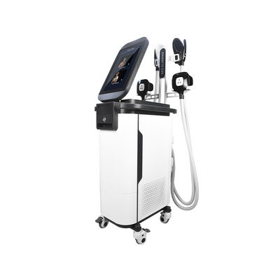 2 In 1  Cryo Body Sculpting Machine  4 Handles Estimulador Muscular Machine