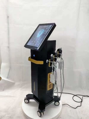 Vertical EMRF Facial Skin Tightening Resurfacing Machine 4MHz Frequency