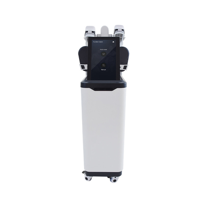 Salon Use Cryolipolysis EMS NEO Sculpting Slimming Machine Vertical
