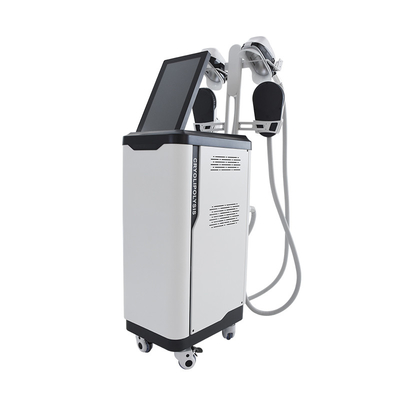 Salon Use Cryolipolysis EMS NEO Sculpting Slimming Machine Vertical