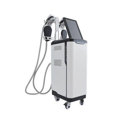 Salon Use Cryolipolysis EMS NEO Sculpting Slimming Machine Vertical