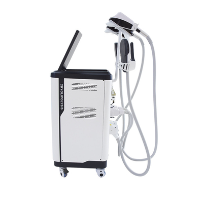 Salon Use Cryolipolysis EMS NEO Sculpting Slimming Machine Vertical