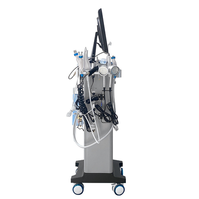 Hot Bubble Oxygen Facial System Peeling Skin Care Machine