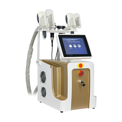 Cryolipolysis Fat Freezing Machine For Weight Loss