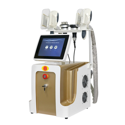 Cryolipolysis Fat Freezing Machine For Weight Loss
