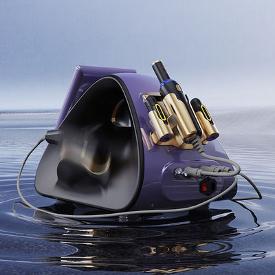 Anti Age 25D Max Hifu Machine Skin Firming 360 Facial Beauty Device for Sale