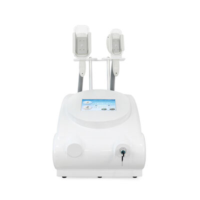 Non-Invasive Painless Two Handles Home And Commercial Use Cryo Freezing Beauty Machine Slimming Beauty Machine