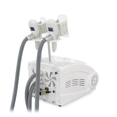 Non-Invasive Painless Two Handles Home And Commercial Use Cryo Freezing Beauty Machine Slimming Beauty Machine