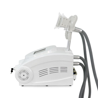 Non-Invasive Painless Two Handles Home And Commercial Use Cryo Freezing Beauty Machine Slimming Beauty Machine