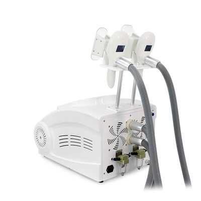 Non-Invasive Painless Two Handles Home And Commercial Use Cryo Freezing Beauty Machine Slimming Beauty Machine