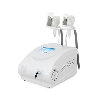 Non-Invasive Painless Two Handles Home And Commercial Use Cryo Freezing Beauty Machine Slimming Beauty Machine