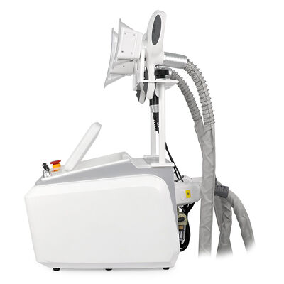 4 in 1 Non-Invasive Painless portable 4 Handles Home And Commercial Use Cryo Freezing Beauty Machine Slimming Beauty Machine