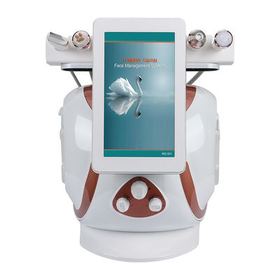 8 In 1 Hydrogen Oxygen Small Bubble Hydrafacial Machine Multifunctional Facial Skin Care Salon Equipment