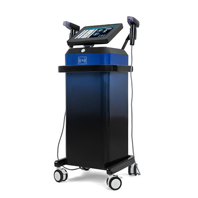 Home and Beauty Salon Use Vertical Microneedling Machine 2 Handles Professional Skin Needling Beauty Device for Face Body Use Lifting Tightening Beauty Machine